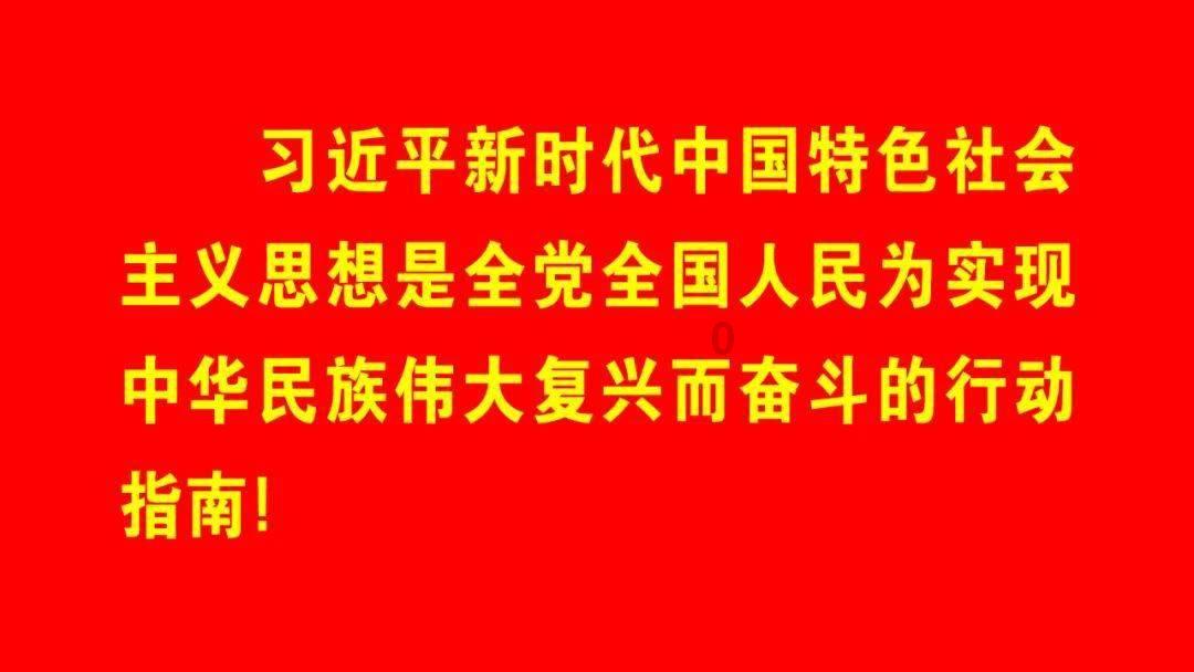 月光影视